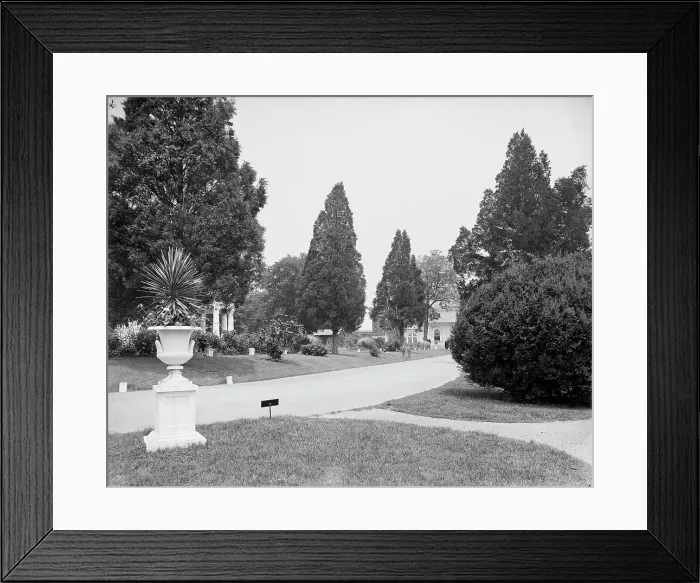 Framed Print : View in National Cemetery, Arlington, Va. between 1900 and 1910. Creator: Unknown Framed Print : View in National Cemetery, Arlington, Va. between 1900 and 1910. Creator: Unknown