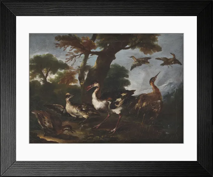 Framed Print : Landscape with Birds, 1665-1730. Creator: Angelo Maria Crivelli Framed Print : Landscape with Birds, 1665-1730. Creator: Angelo Maria Crivelli