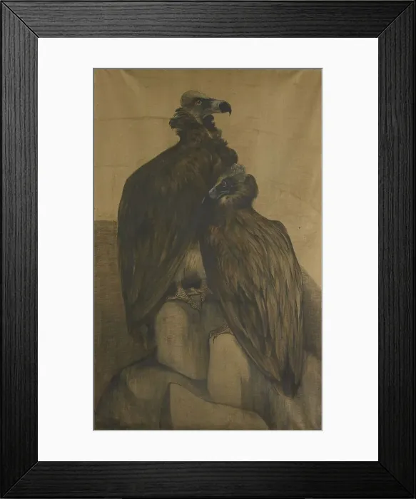 Framed Print : Two Arabian Vultures, 1885-1917. Creator: Theo van Hoytema Framed Print : Two Arabian Vultures, 1885-1917. Creator: Theo van Hoytema