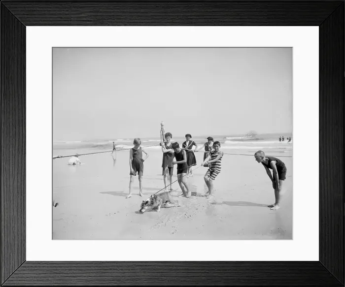 Framed Print : Bulldog on the beach, between 1900 and 1910. Creator: Unknown