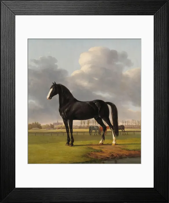 Framed Print : Adriaan van der Hoop's Trotter ‘De Vlugge (The Fast One) in a Meadow, 1828. Creator: Anthony Oberman Framed Print : Adriaan van der Hoop's Trotter ‘De Vlugge (The Fast One) in a Meadow, 1828. Creator: Anthony Oberman
