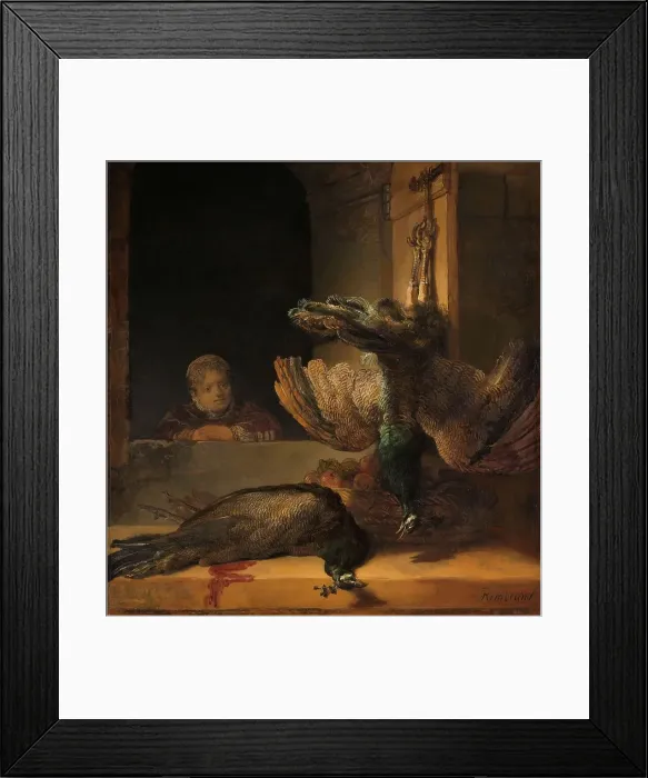 Framed Print : Still Life with Peacocks, c.1639. Creator: Rembrandt Harmensz van Rijn Framed Print : Still Life with Peacocks, c.1639. Creator: Rembrandt Harmensz van Rijn