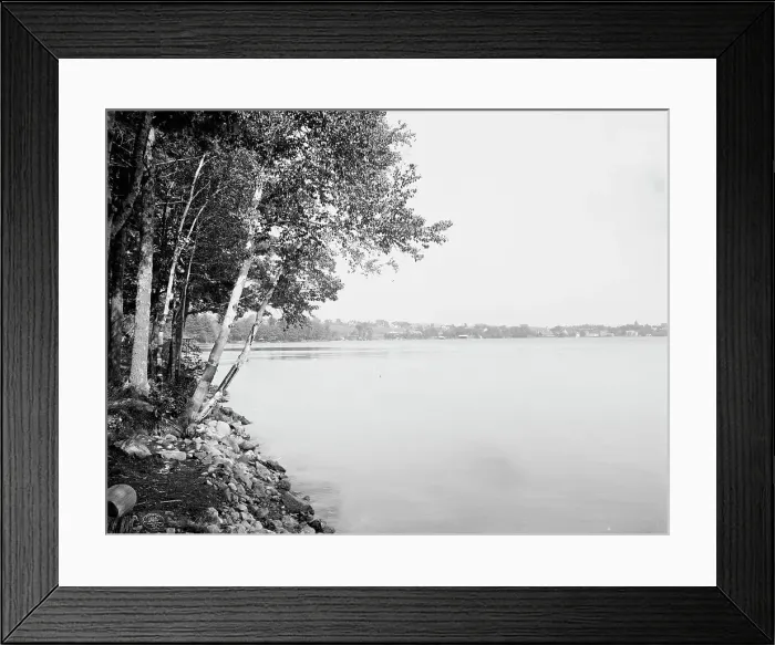 Framed Print : Along the shore of Wolfeborough Bay, Lake Winnipesaukee, N.H. c1906. Creator: Unknown Framed Print : Along the shore of Wolfeborough Bay, Lake Winnipesaukee, N.H. c1906. Creator: Unknown