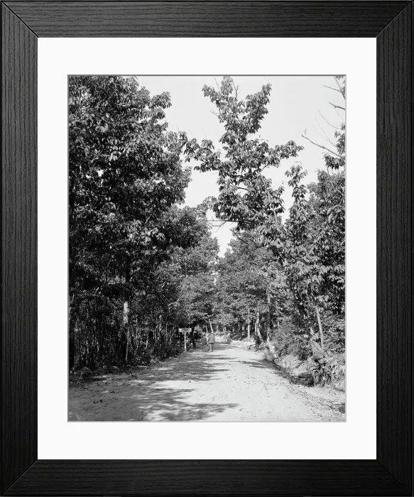 Framed Print : Road to High Rock, Pen Mar Park, Md. between 1900 and 1906. Creator: Unknown Framed Print : Road to High Rock, Pen Mar Park, Md. between 1900 and 1906. Creator: Unknown