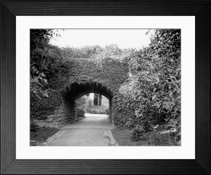 Framed Print : Ivy arch bridge in Delaware Park, Buffalo, N.Y. c1908. Creator: Unknown Framed Print : Ivy arch bridge in Delaware Park, Buffalo, N.Y. c1908. Creator: Unknown