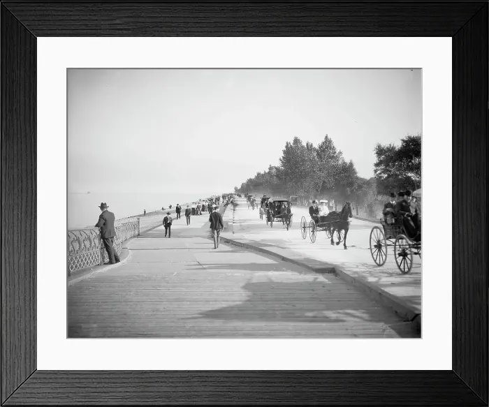 Framed Print : Lake Shore Drive, Lincoln Park, Chicago, Ill. c1905. Creator: Unknown Framed Print : Lake Shore Drive, Lincoln Park, Chicago, Ill. c1905. Creator: Unknown