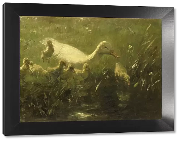 White duck and ducklings, 1880-1910. Creator: Willem Maris