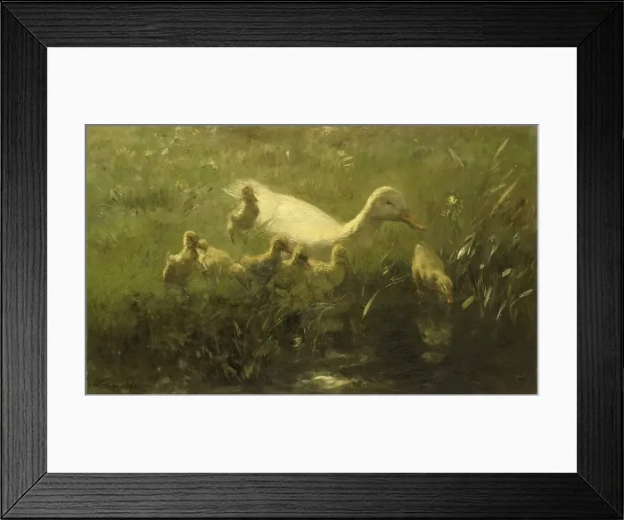Framed Print : White duck and ducklings, 1880-1910. Creator: Willem Maris Framed Print : White duck and ducklings, 1880-1910. Creator: Willem Maris