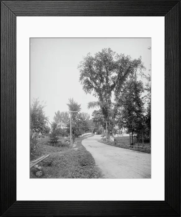 Framed Print : Street in Alton Bay, Lake Winnipesaukee, N.H. A, c1906. Creator: Unknown Framed Print : Street in Alton Bay, Lake Winnipesaukee, N.H. A, c1906. Creator: Unknown
