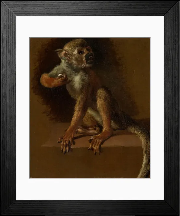 Framed Print : A Seated Monkey, before 1685. Creator: Jan Weenix