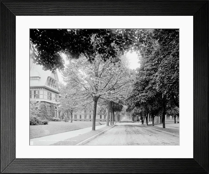 Framed Print : Elm Street, Holyokke [sic], Mass. c1908. Creator: Unknown