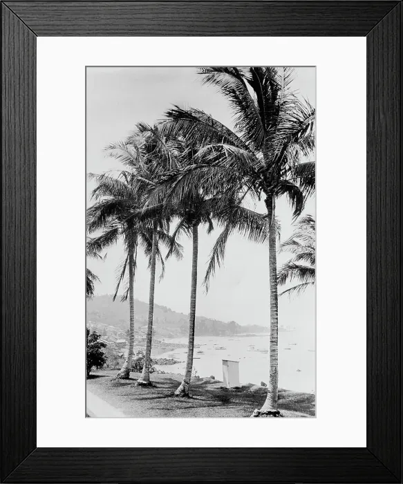 Framed Print : Island of Taboga and bay, Panama, c.between 1910 and 1920. Creator: Unknown Framed Print : Island of Taboga and bay, Panama, c.between 1910 and 1920. Creator: Unknown