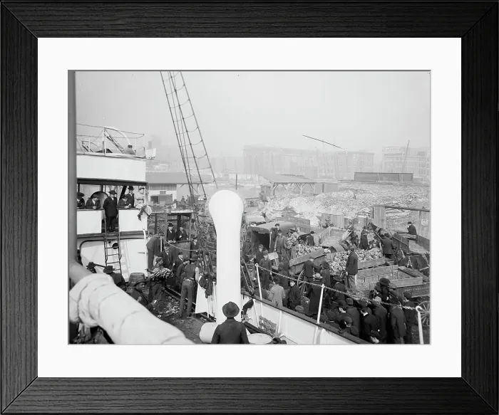 Framed Print : Unloading a banana steamer, Baltimore, Md. c1905. Creator: Unknown Framed Print : Unloading a banana steamer, Baltimore, Md. c1905. Creator: Unknown
