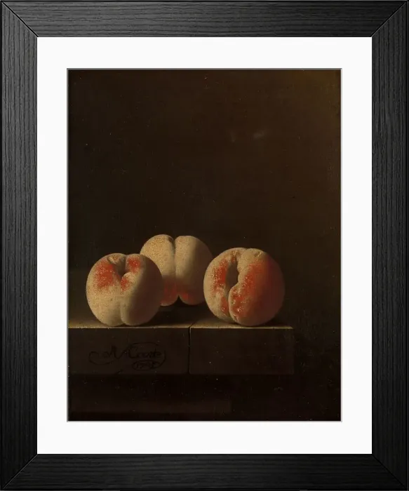Framed Print : Three Peaches on a Stone Plinth, 1705. Creator: Adriaen Coorte Framed Print : Three Peaches on a Stone Plinth, 1705. Creator: Adriaen Coorte