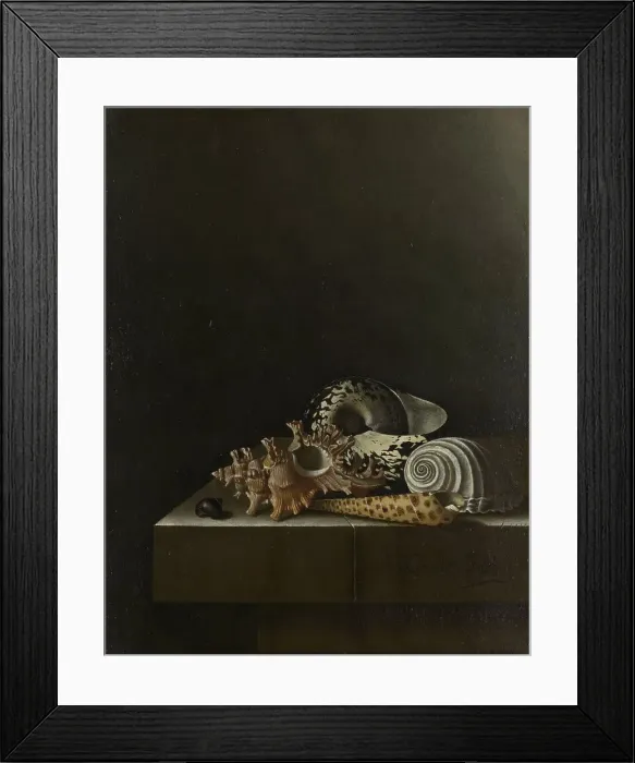 Framed Print : Shells on a Stone Plinth, 1698. Creator: Adriaen Coorte Framed Print : Shells on a Stone Plinth, 1698. Creator: Adriaen Coorte