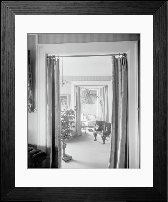 Framed Print : Views through portieres, roses and palm, between 1900 and 1915. Creator: Unknown Framed Print : Views through portieres, roses and palm, between 1900 and 1915. Creator: Unknown
