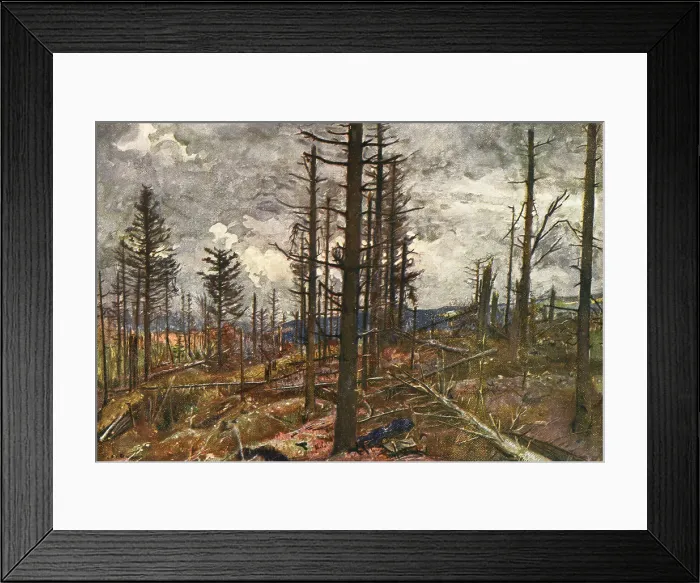 Framed Print : Le Bois mutile (cote 955, au-dessus de Metzeral), 1916. Creator: Charles-Jules Duvent Framed Print : Le Bois mutile (cote 955, au-dessus de Metzeral), 1916. Creator: Charles-Jules Duvent