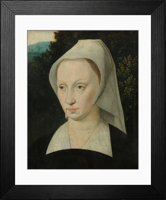 Framed Print : Portrait of a woman, c.1540-c.1550. Creator: Anon Framed Print : Portrait of a woman, c.1540-c.1550. Creator: Anon