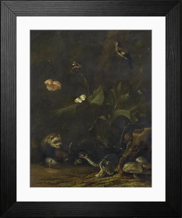 Framed Print : Animals and Plants, 1650-1677. Creator: Anthonie van Borssom Framed Print : Animals and Plants, 1650-1677. Creator: Anthonie van Borssom