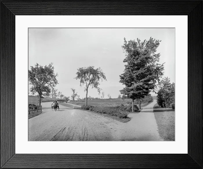 Framed Print : Fresh Pond Drive, Cambridge, Mass. between 1900 and 1920. Creator: Unknown Framed Print : Fresh Pond Drive, Cambridge, Mass. between 1900 and 1920. Creator: Unknown
