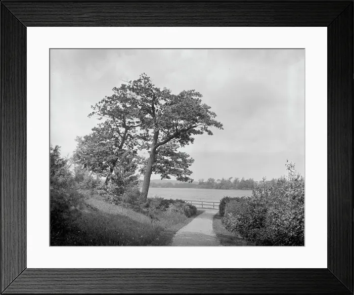 Framed Print : Fresh pond, Cambridge, Mass. between 1900 and 1920. Creator: Unknown Framed Print : Fresh pond, Cambridge, Mass. between 1900 and 1920. Creator: Unknown