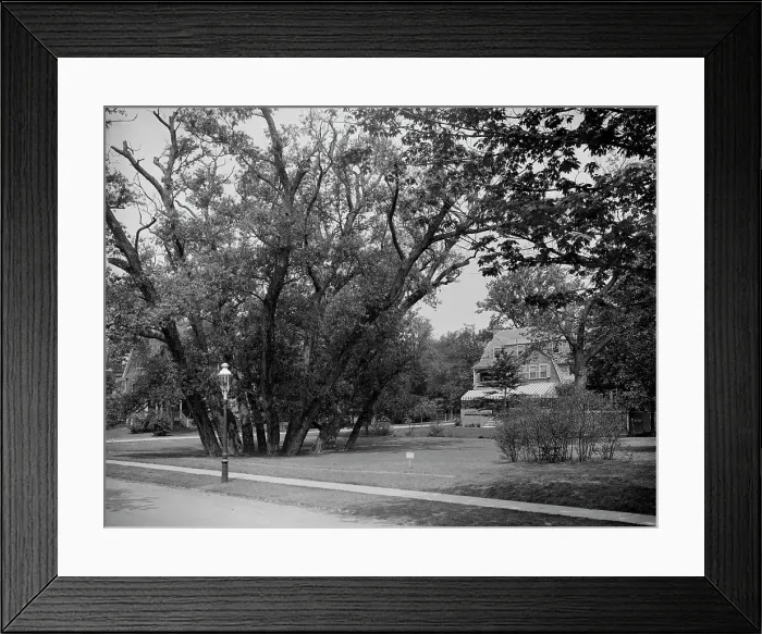 Framed Print : Hubbard Park, Cambridge, Mass. between 1900 and 1920. Creator: Unknown Framed Print : Hubbard Park, Cambridge, Mass. between 1900 and 1920. Creator: Unknown