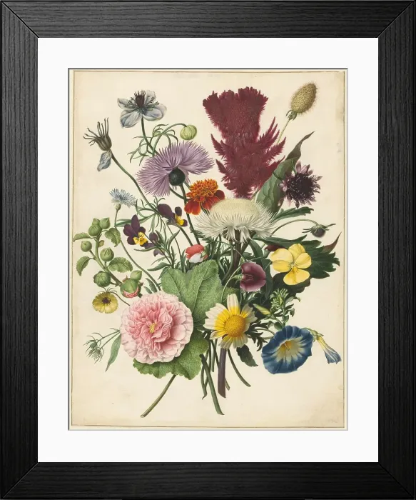 Framed Print : Bouquet of Flowers, 1680. Creator: Anon Framed Print : Bouquet of Flowers, 1680. Creator: Anon