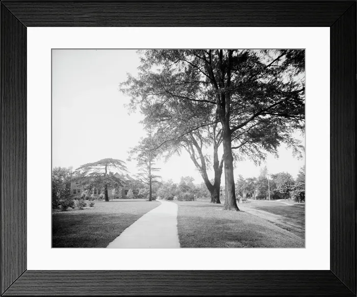 Framed Print : Western Boulevard, Detroit, Mich. between 1900 and 1920. Creator: Unknown Framed Print : Western Boulevard, Detroit, Mich. between 1900 and 1920. Creator: Unknown
