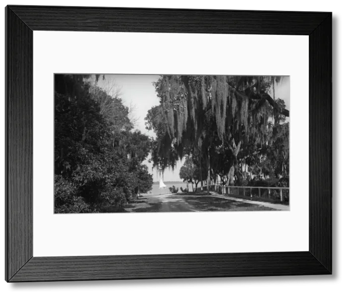 Framed Print : Indian River at Rockledge, Fla. c1901. Creator: Unknown Framed Print : Indian River at Rockledge, Fla. c1901. Creator: Unknown
