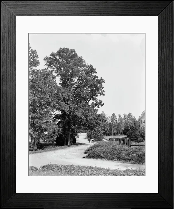 Framed Print : President at Chevy Chase, Washington, D.C. The, c1904. Creator: Unknown Framed Print : President at Chevy Chase, Washington, D.C. The, c1904. Creator: Unknown