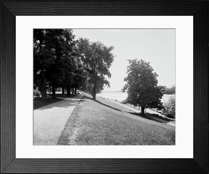 Framed Print : Prospect Park, between 1890 and 1899. Creator: Unknown Framed Print : Prospect Park, between 1890 and 1899. Creator: Unknown