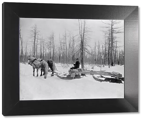 Logging in Michigan, the sled, between 1880 and 1899. Creator: Unknown