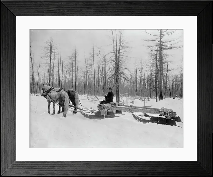 Framed Print : Logging in Michigan, the sled, between 1880 and 1899. Creator: Unknown Framed Print : Logging in Michigan, the sled, between 1880 and 1899. Creator: Unknown