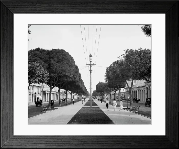 Framed Print : The Prado, looking north, Havana, Cuba, c1904. Creator: Unknown Framed Print : The Prado, looking north, Havana, Cuba, c1904. Creator: Unknown