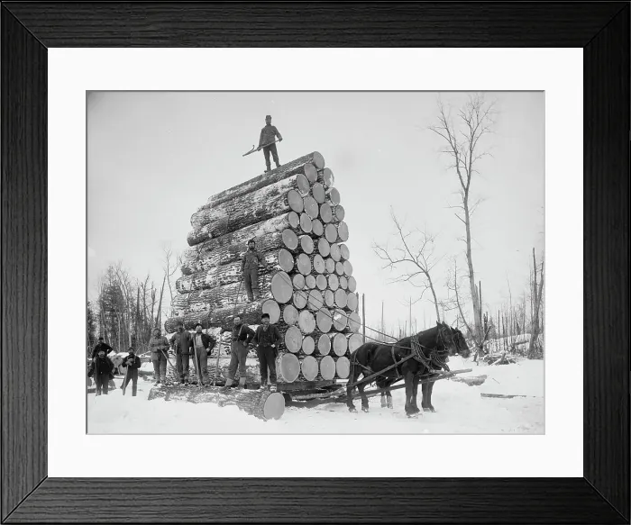 Framed Print : Logging a big load, between 1880 and 1899. Creator: Unknown Framed Print : Logging a big load, between 1880 and 1899. Creator: Unknown