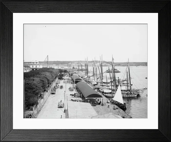 Framed Print : Muelle Paula, Havana, Cuba, c1904. Creator: Unknown. Muelle Paula, Havana, Cuba, c1904. Creator: Unknown Framed Print : Muelle Paula, Havana, Cuba, c1904. Creator: Unknown. Muelle Paula, Havana, Cuba, c1904. Creator: Unknown
