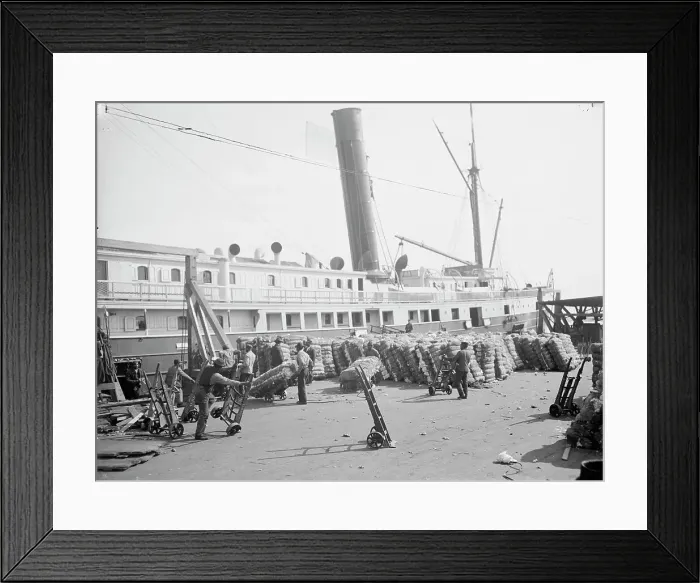 Framed Print : Loading cotton into a steamer, Savannah, Ga. c1904. Creator: Unknown Framed Print : Loading cotton into a steamer, Savannah, Ga. c1904. Creator: Unknown