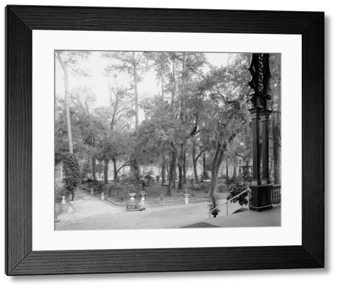 Framed Print : Grounds at the Pine Forest Inn, Summerville, S.C. c1904. Creator: Unknown Framed Print : Grounds at the Pine Forest Inn, Summerville, S.C. c1904. Creator: Unknown