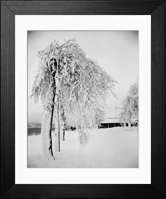 Framed Print : Snow studies, Prospect Park, Niagara, between 1880 and 1901. Creator: Unknown Framed Print : Snow studies, Prospect Park, Niagara, between 1880 and 1901. Creator: Unknown