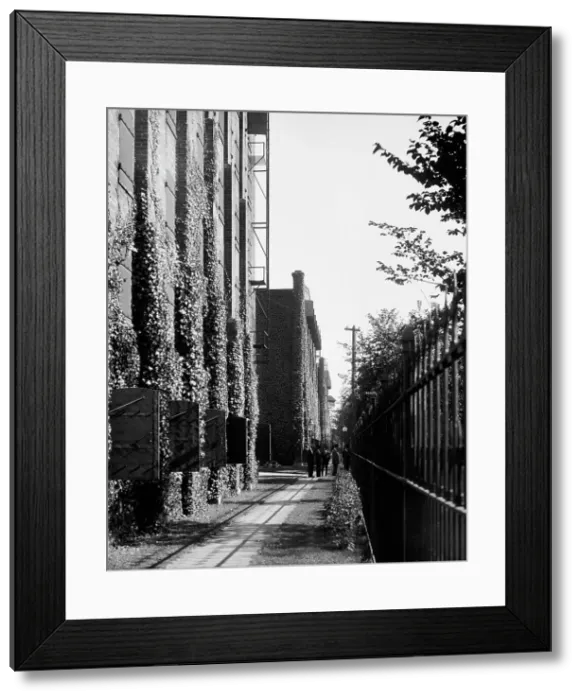 Framed Print : Path in front of warehouse, Hiram Walker & Sons, Walkerville, Ont. between 1905 and 1915. Creator: Unknown. Path in front of warehouse, Hiram Walker & Sons, Walkerville, Ont. between 1905 and 1915. Creator: Unknown Framed Print : Path in front of warehouse, Hiram Walker & Sons, Walkerville, Ont. between 1905 and 1915. Creator: Unknown. Path in front of warehouse, Hiram Walker & Sons, Walkerville, Ont. between 1905 and 1915. Creator: Unknown