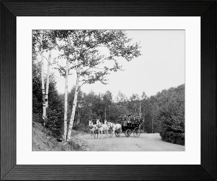 Framed Print : Coaching party on Boulevard Drive, Duluth, Minn. between 1900 and 1906. Creator: Unknown Framed Print : Coaching party on Boulevard Drive, Duluth, Minn. between 1900 and 1906. Creator: Unknown