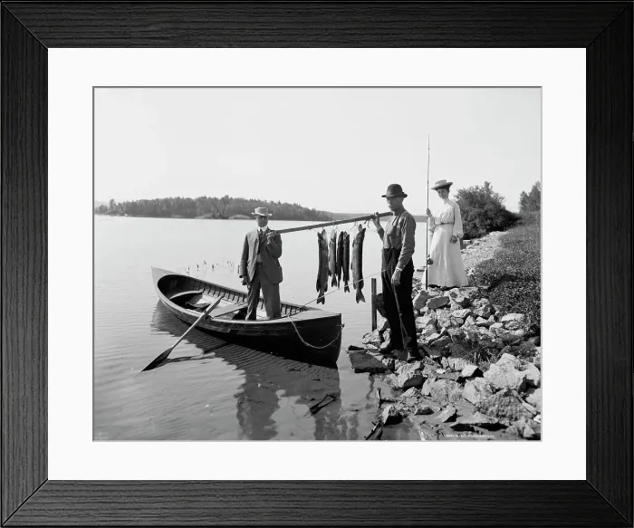 Framed Print : A Morning's catch in the Adirondacks, c1903. Creator: Unknown Framed Print : A Morning's catch in the Adirondacks, c1903. Creator: Unknown