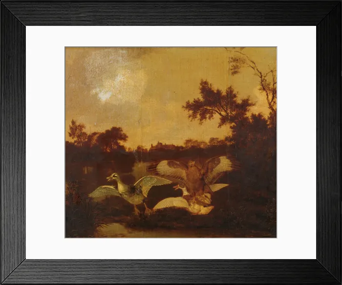 Framed Print : A Buzzard Attacks two Ducks, c.1635-c.1678. Creator: Dirck Wijntrack Framed Print : A Buzzard Attacks two Ducks, c.1635-c.1678. Creator: Dirck Wijntrack