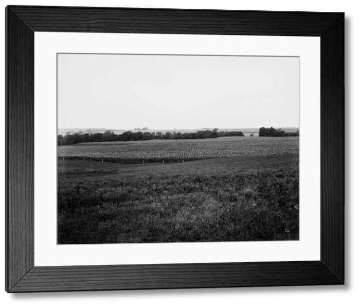 Framed Print : Curve to be straightened, near Oak Grove, Mo. between 1900 and 1905. Creator: Unknown Framed Print : Curve to be straightened, near Oak Grove, Mo. between 1900 and 1905. Creator: Unknown