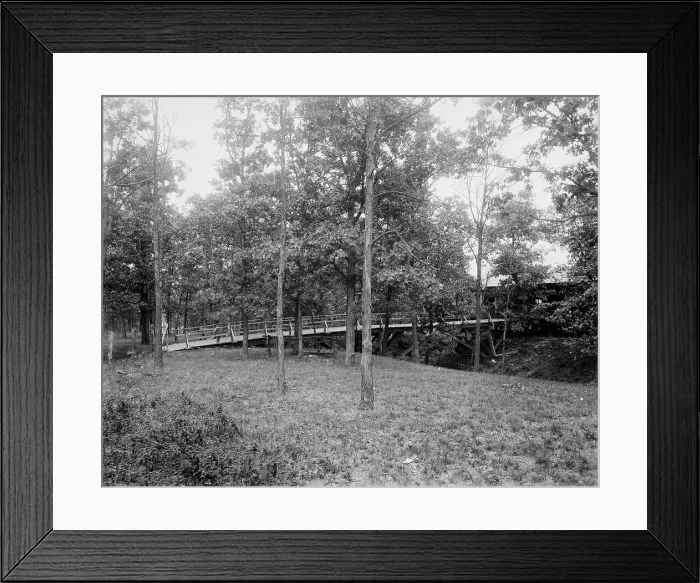 Framed Print : Picnic grounds at Lemont, Ill's. between 1900 and 1905. Creator: Unknown Framed Print : Picnic grounds at Lemont, Ill's. between 1900 and 1905. Creator: Unknown