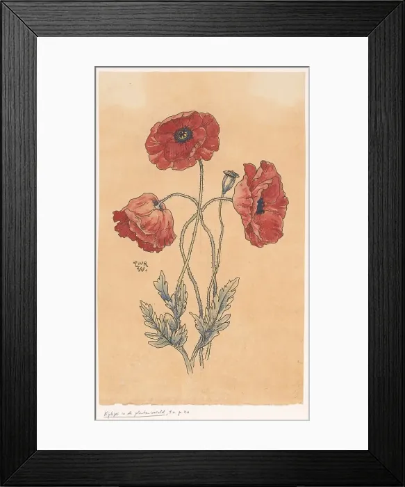 Framed Print : Poppy, in or before 1893. Creator: Willem Wenckebach Framed Print : Poppy, in or before 1893. Creator: Willem Wenckebach