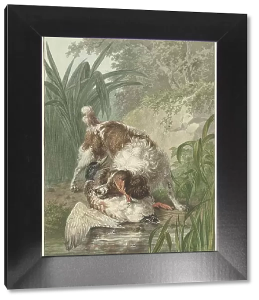 Hunting dog catches a duck, 1754-1831. Creator: Wybrand Hendriks