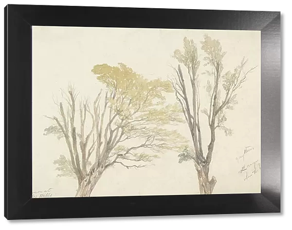 Two tree studies, 1850. Creator: Edwin Aaron Penley