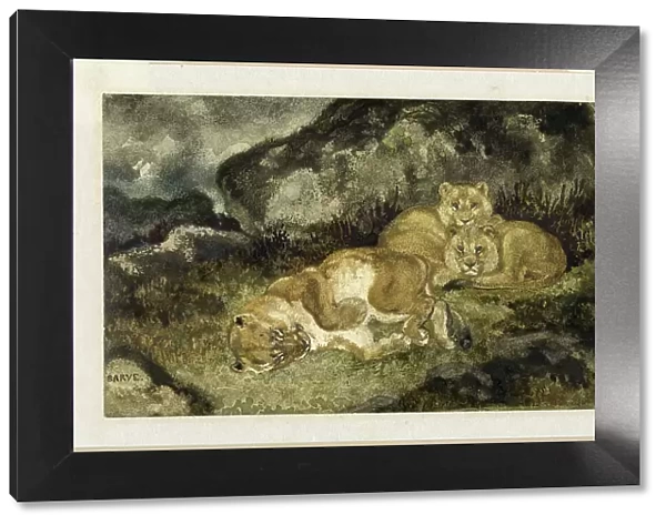 Lioness and Cubs, c. 1832. Creator: Antoine-Louis Barye