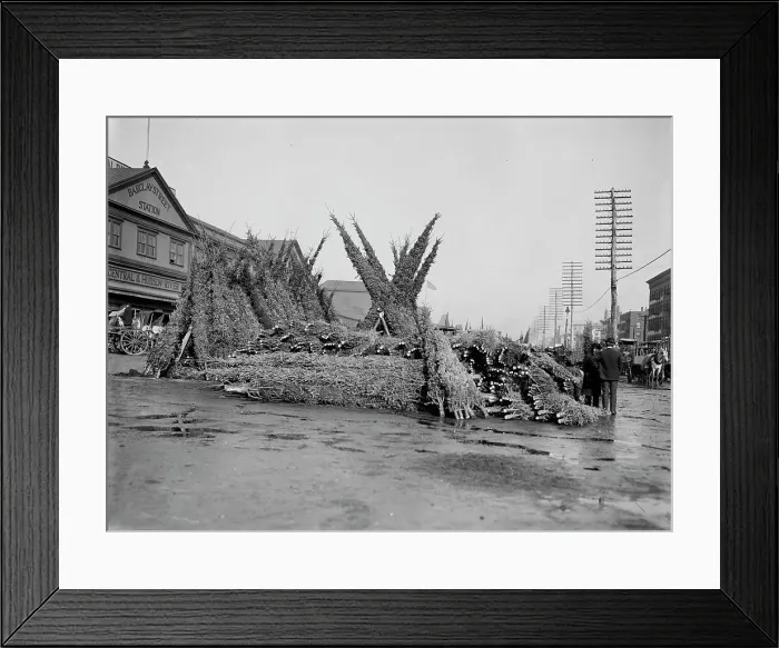 Framed Print : Cut Christmas trees, market in front of Barclay Street Station, N.Y. between 1885 and 1895. Creator: Unknown Framed Print : Cut Christmas trees, market in front of Barclay Street Station, N.Y. between 1885 and 1895. Creator: Unknown